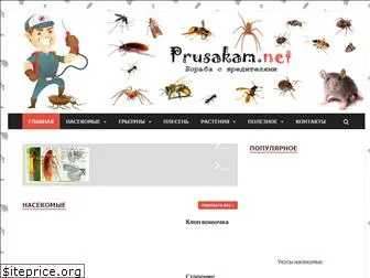 prusakam.net