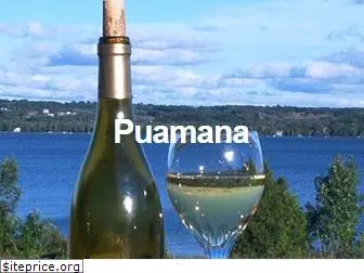puamanawebdesign.com