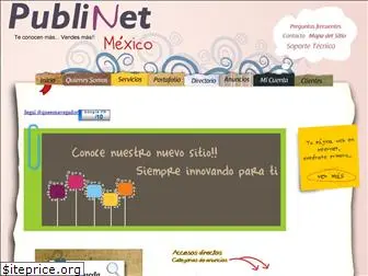 publinetmexico.com