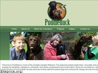 puddleduckretrievers.com