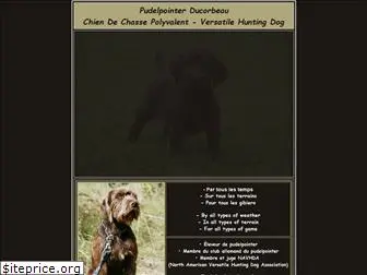 pudelpointer.com