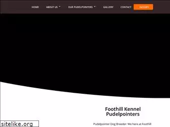 pudelpointerdogs.com