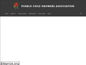 pueblochile.org