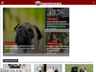 pugfestevents.com