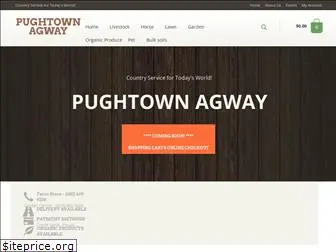 pughtownagway.com