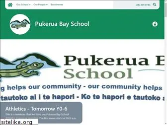 pukeruabay.school.nz