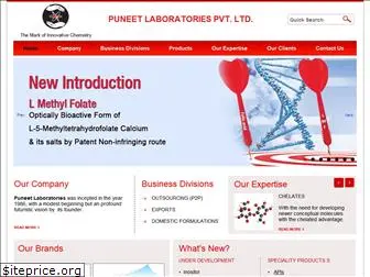 puneetlabs.com