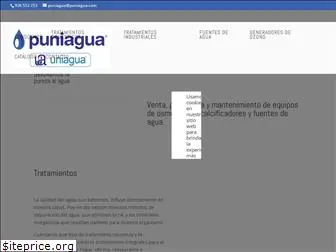 puniagua.com