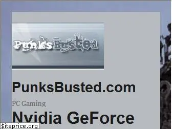 punksbusted.com