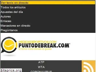 puntodebreak.com