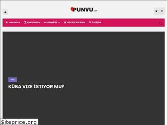 punvu.com