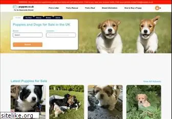 puppies.co.uk
