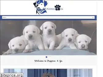 puppies4ya.com