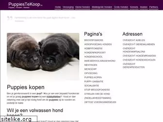 puppiestekoop.be