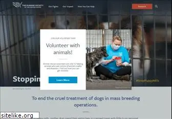 puppybuyersguide.org