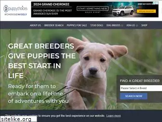 puppychoices.co.uk