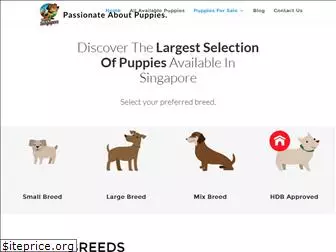 puppysingapore.com