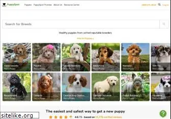 puppyspot.com