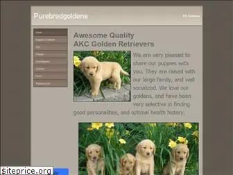 purebredgoldens.weebly.com