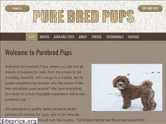 purebredpups.com