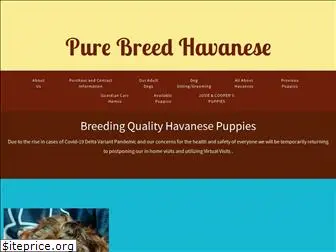 purebreedhavanese.com