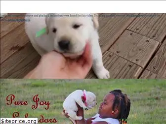 purejoylabradors.com