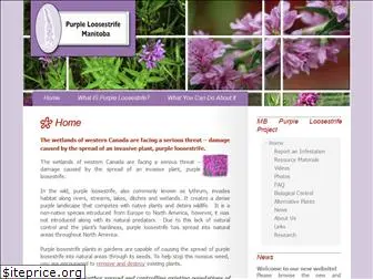 purpleloosestrife.org