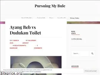 pursuingmybule.com
