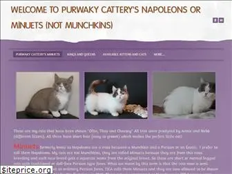 purwakycattery.weebly.com