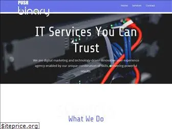 pushbinary.com