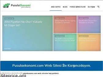 pusulaekonomi.com