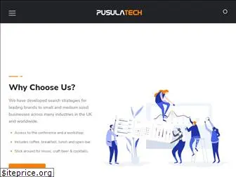pusulatech.com