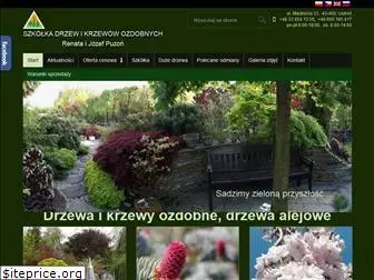puzon.com.pl