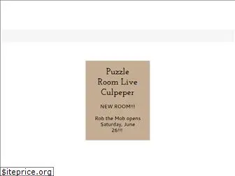puzzleroomlive.com