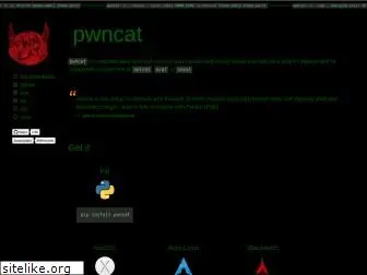 pwncat.org