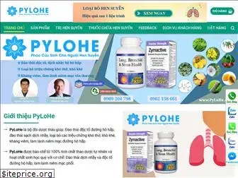 pylohe.com