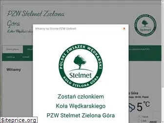 pzwstelmet.com