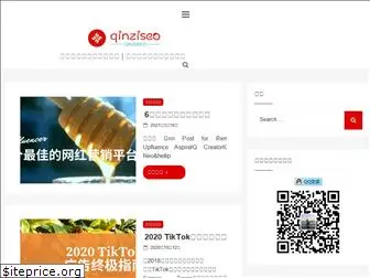 qinziseo.com