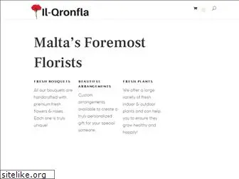 qronfla.com