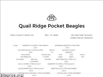 quailridgepocketbeagles.com