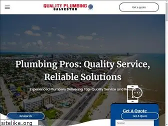 qualityplumbingboi.net