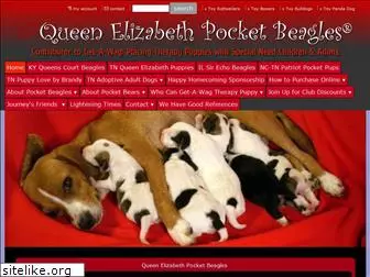 queenelizabethpocketbeagles.com