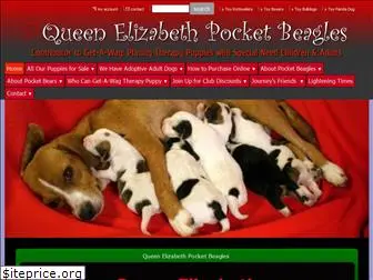 queensbeagle.com