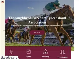 queenslandbreeders.com.au