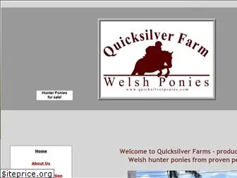 quicksilverponies.com