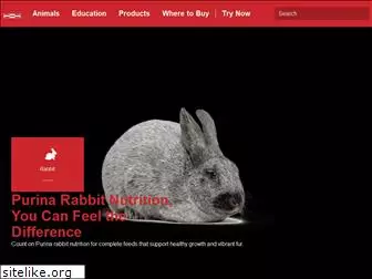 rabbitchow.com