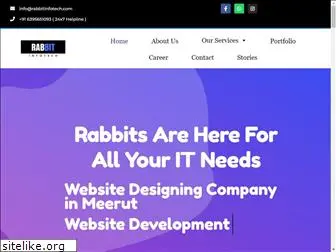 rabbitinfotech.com