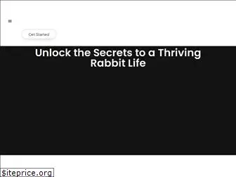 rabbitlifehack.com