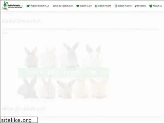 rabbitpedia.com