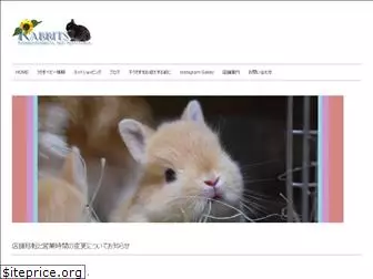 rabbits-osaka.com